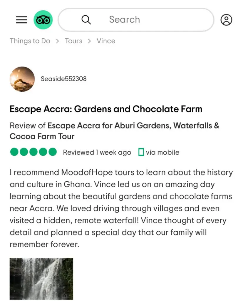 Traveler Review 11
