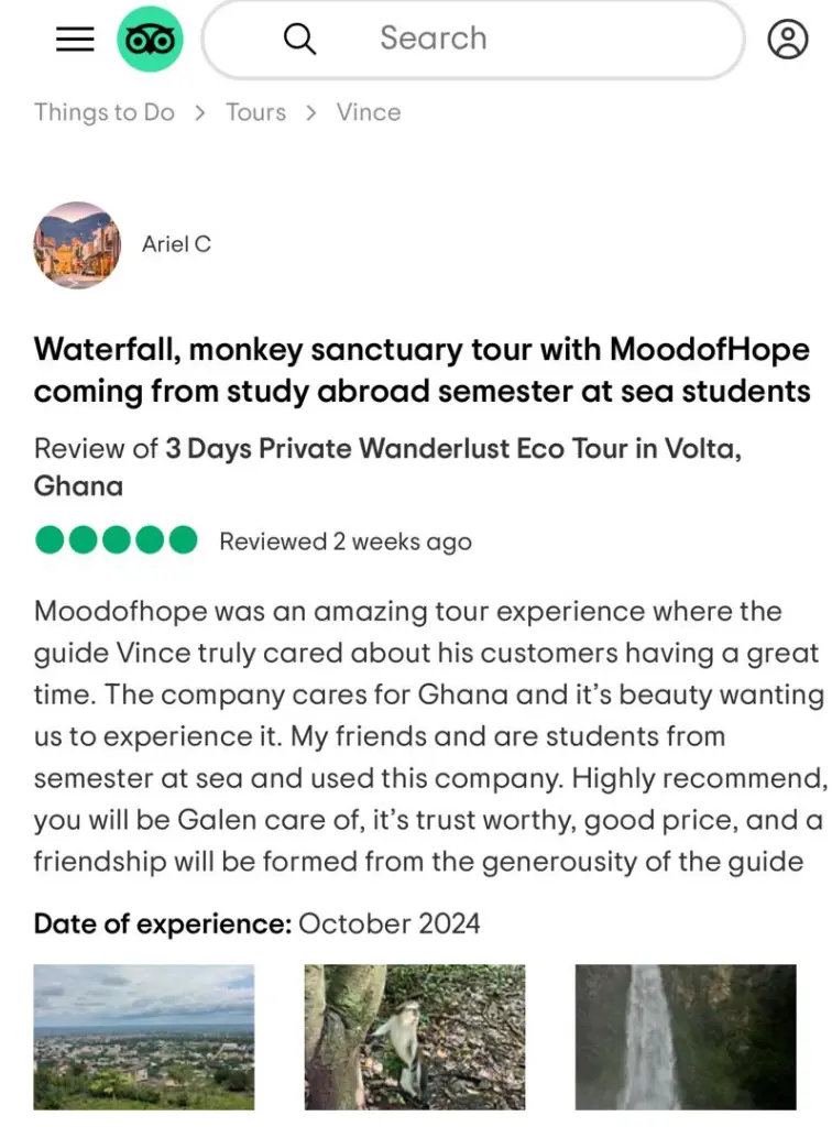 Traveler Review 15