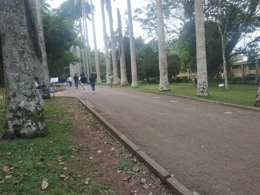 Accra Day Trip - Aburi Gardens, Waterfall & Cocoa Farm Tour - Image 1