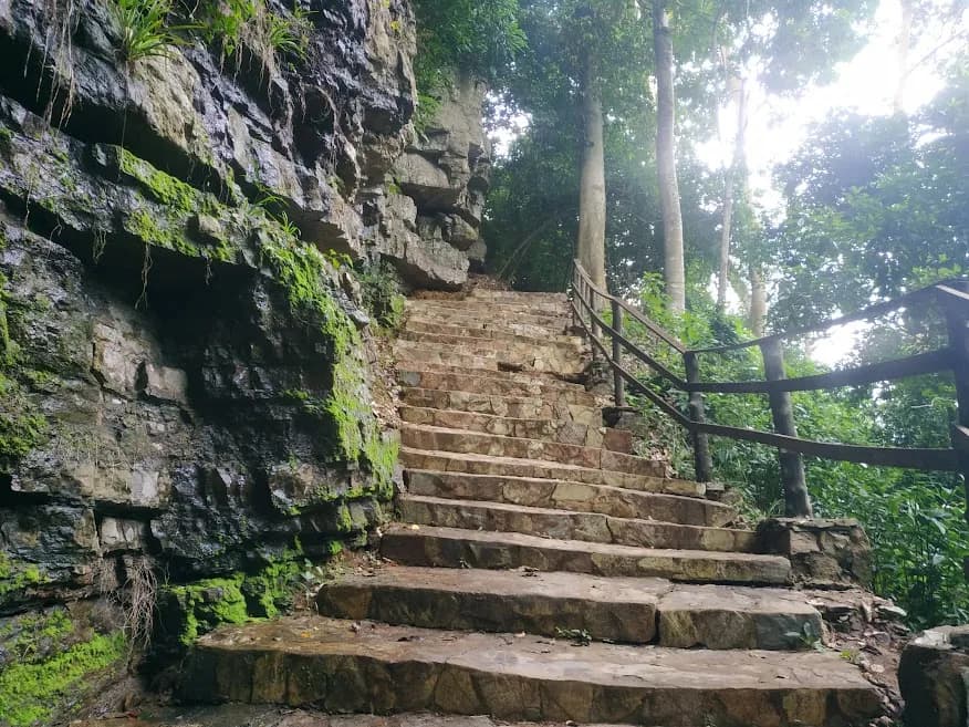 Accra Day Trip - Aburi Gardens, Waterfall & Cocoa Farm Tour - Image 9