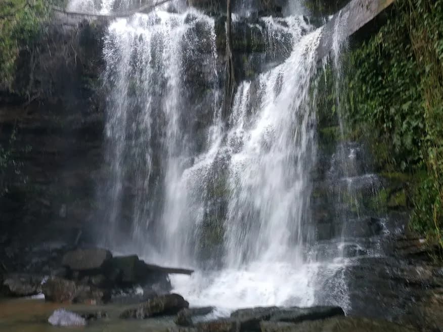Accra Day Trip - Aburi Gardens, Waterfall & Cocoa Farm Tour - Image 8