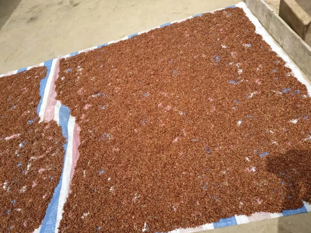 Accra Hands-On Traditional Craft Experience - Image 5
