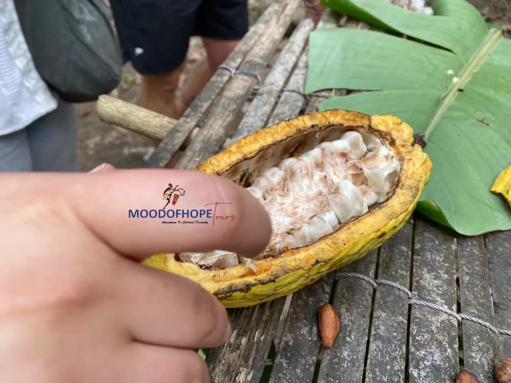 Ghana Grassroots Culture & Historical Trip – 6 Days - Image 2