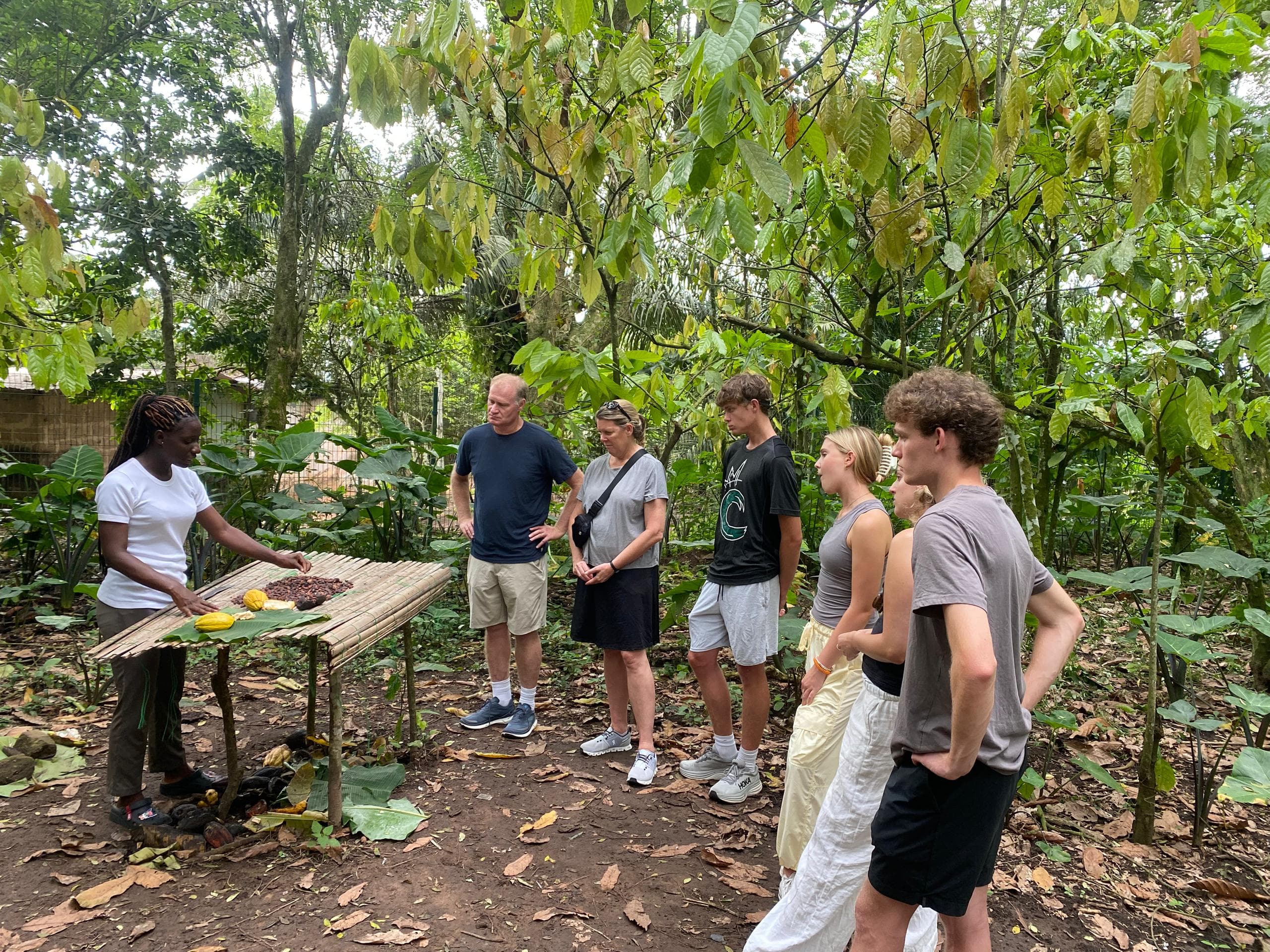 Immersive Cocoa Farm-to-Factory Chocolate Tour in Ghana - Image 14