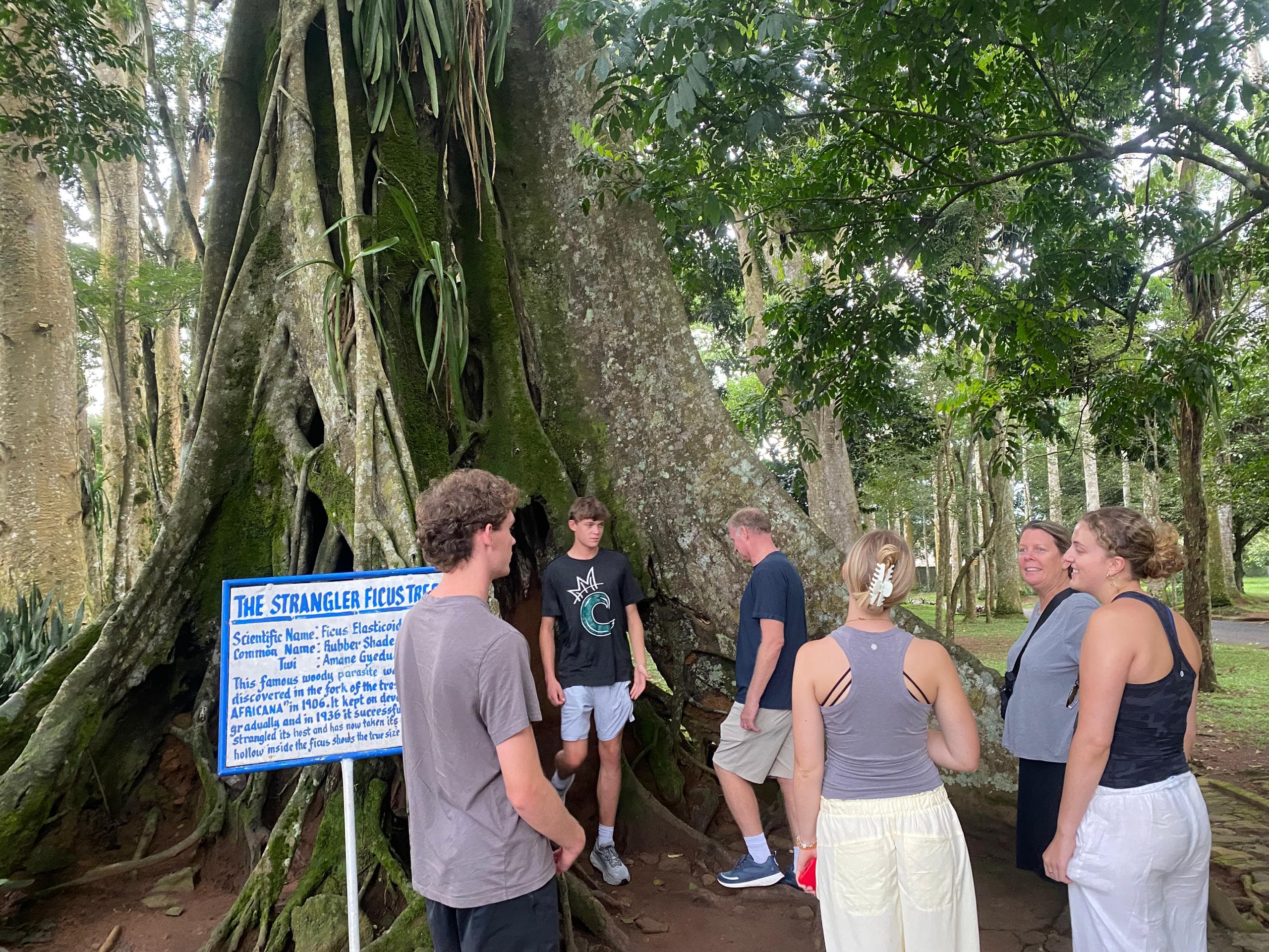 Immersive Cocoa Farm-to-Factory Chocolate Tour in Ghana - Image 9
