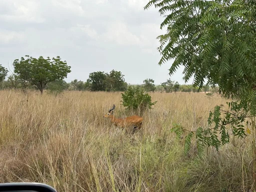 Shai Hills Wildlife Safari, Bead-Making & Lake Volta Day Trip - Image 14