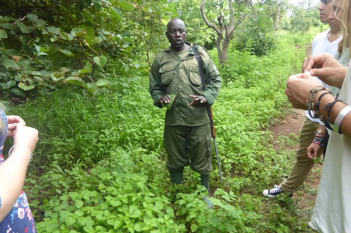 Into the Wild: Exploring Mole National Park in Ghana