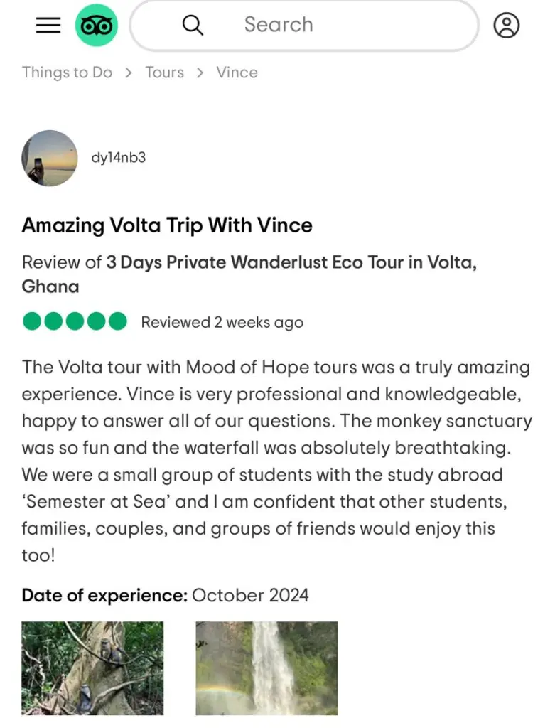 Traveler Review 26