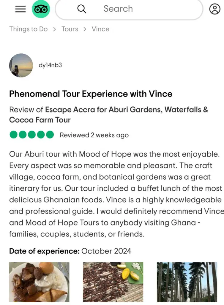 Traveler Review 28