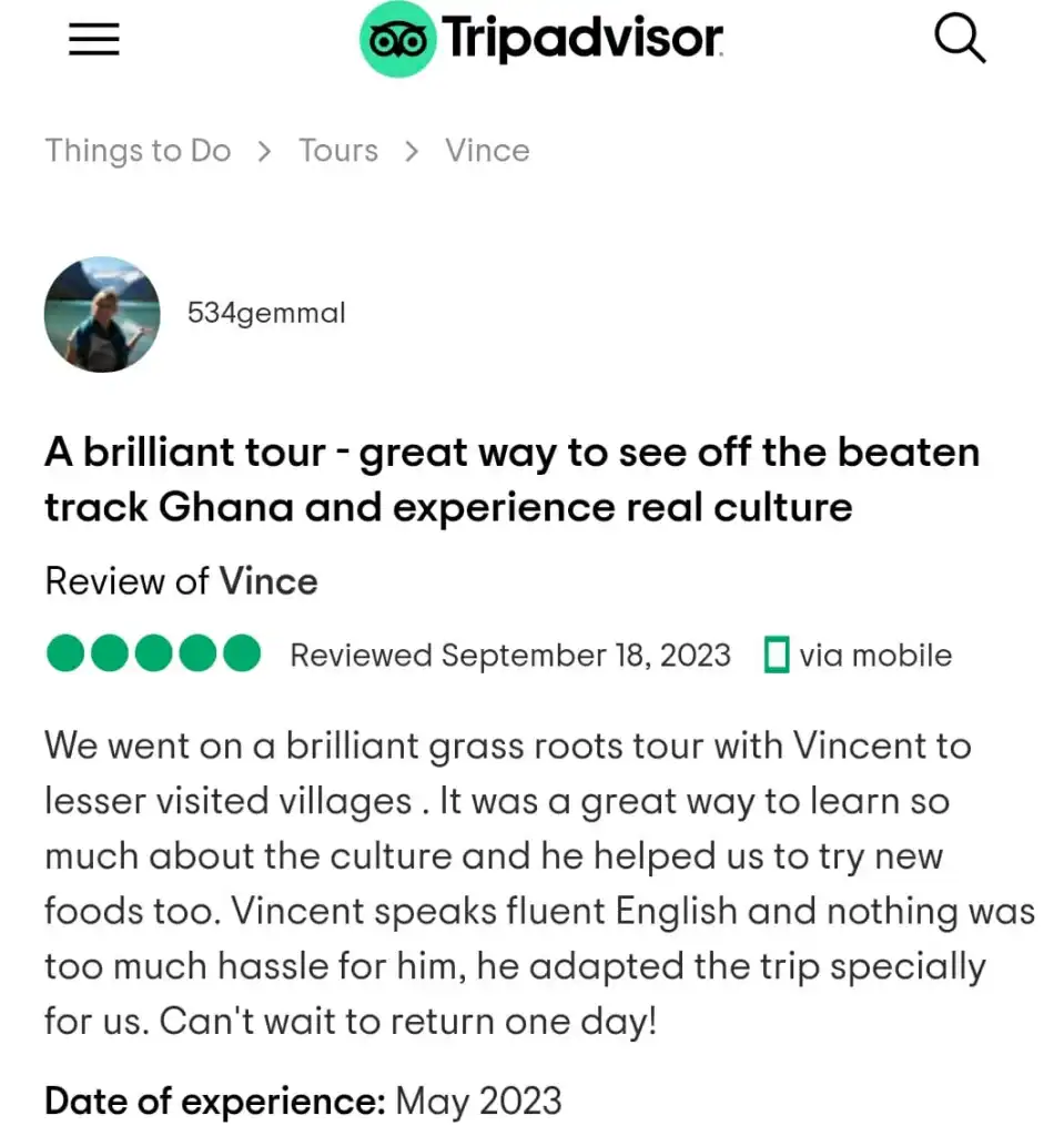 Traveler Review 34