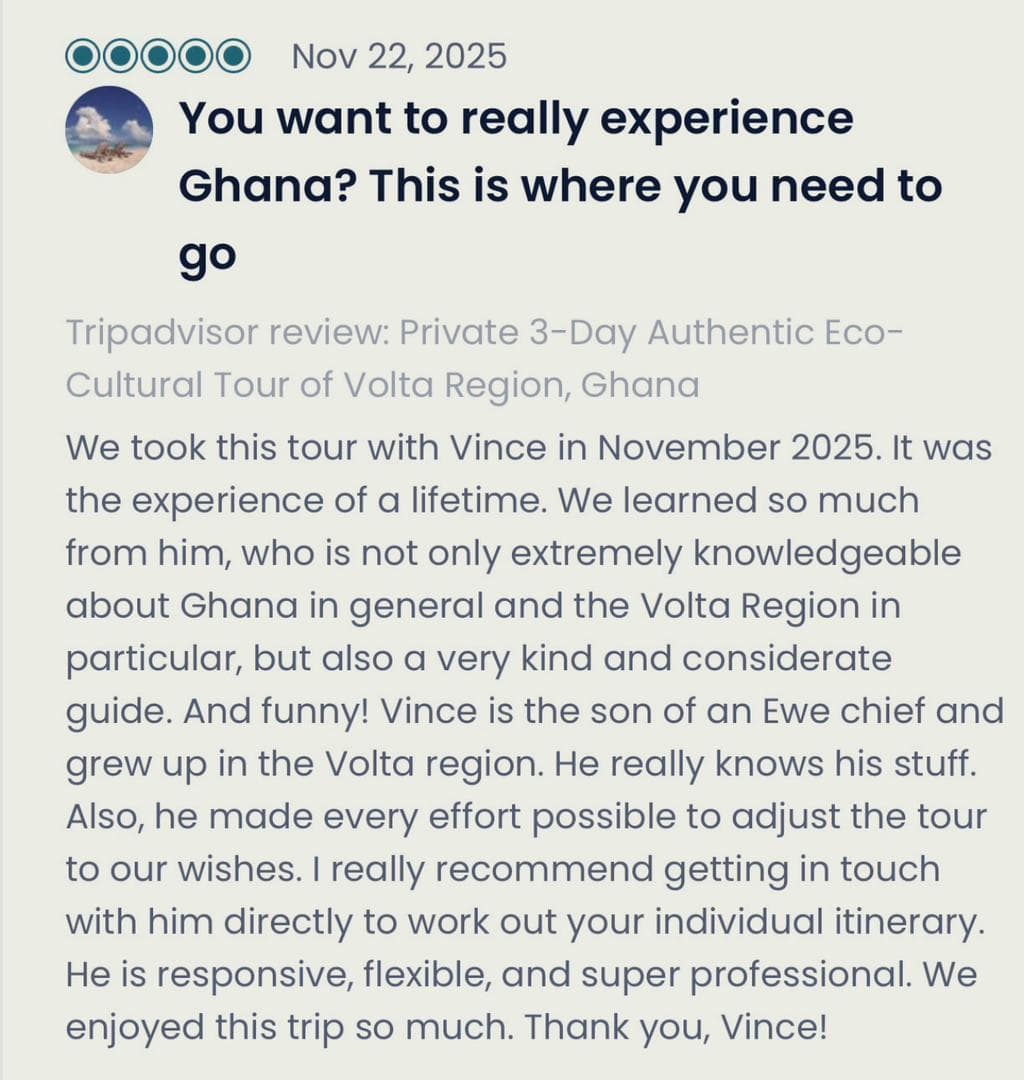 Traveler Review 3
