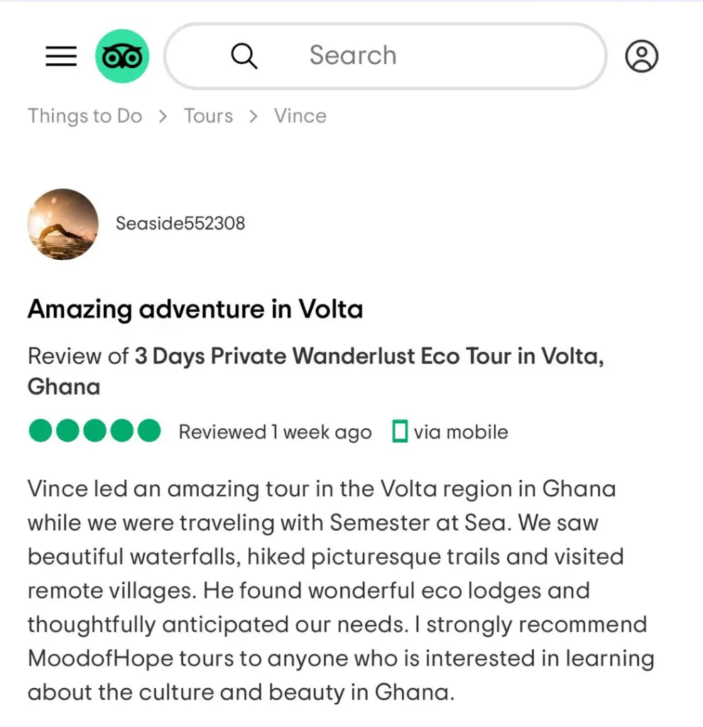 Traveler Review 21