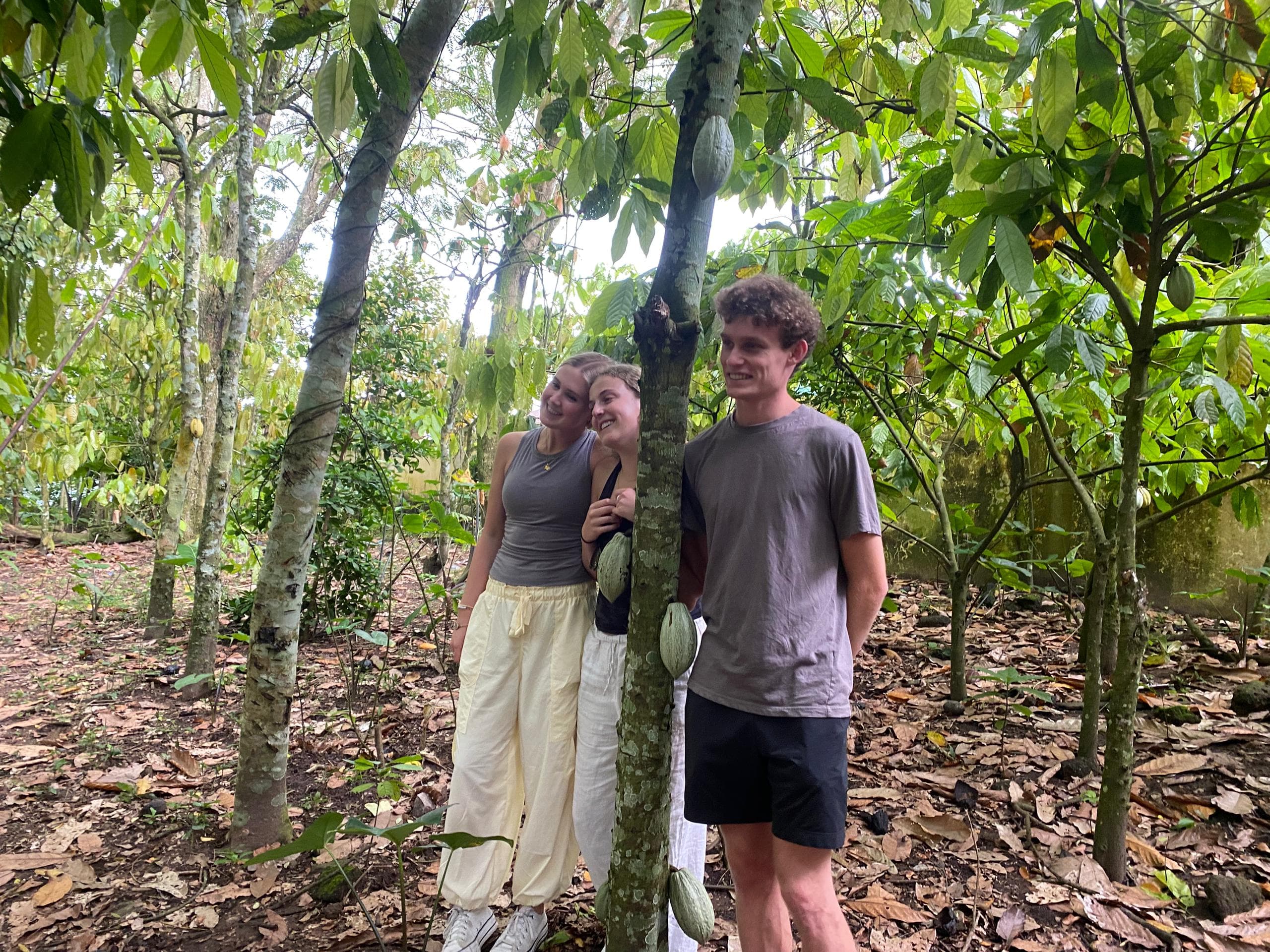 Ayekoo: Immersive Cocoa Farm-to-Factory Chocolate Tour in Ghana - Image 13