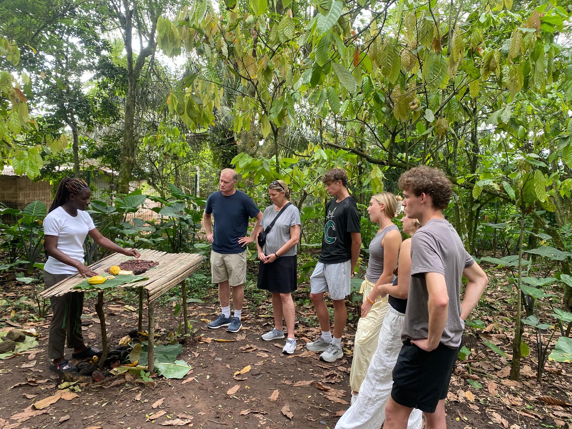 2. Ghana Cocoa Farm Tour: Step into a Farmer's Shoes!