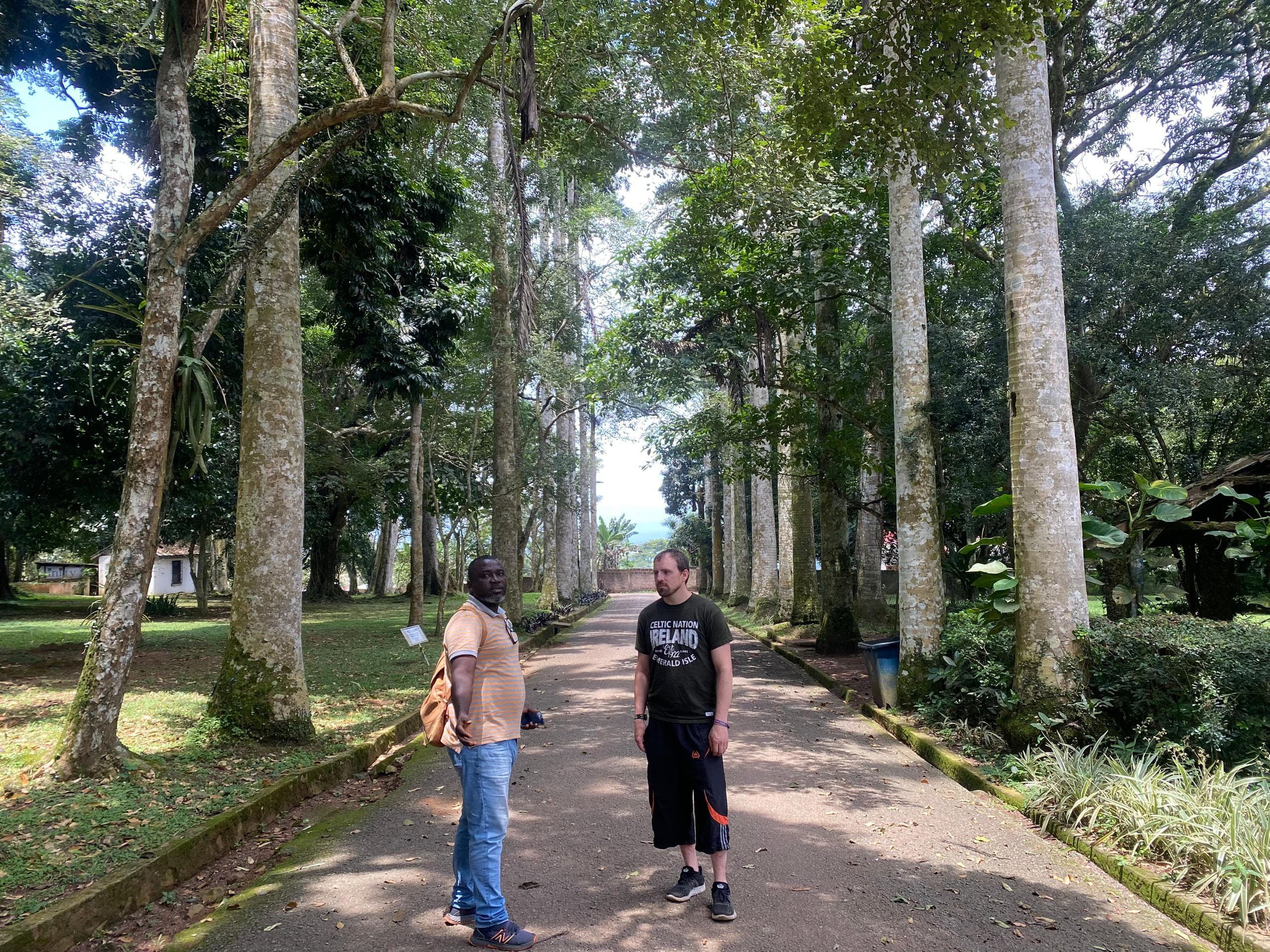Ayekoo: Immersive Cocoa Farm-to-Factory Chocolate Tour in Ghana - Image 6