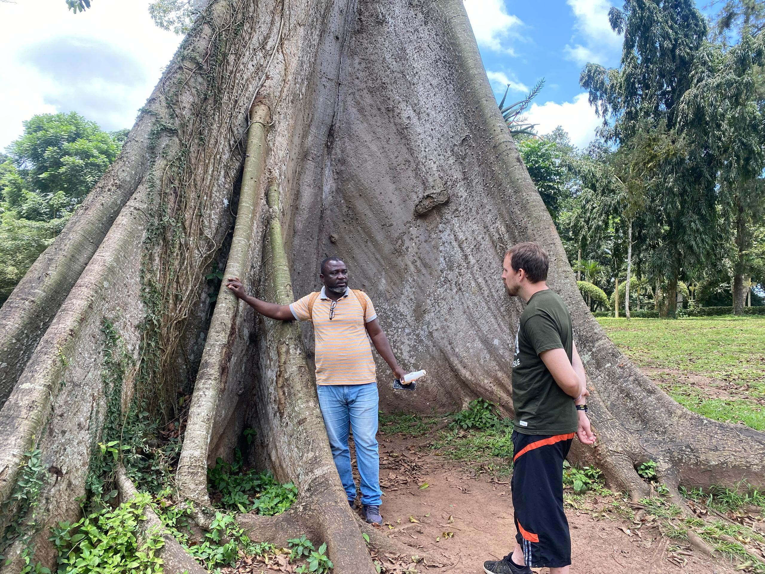 Ayekoo: Immersive Cocoa Farm-to-Factory Chocolate Tour in Ghana - Image 8