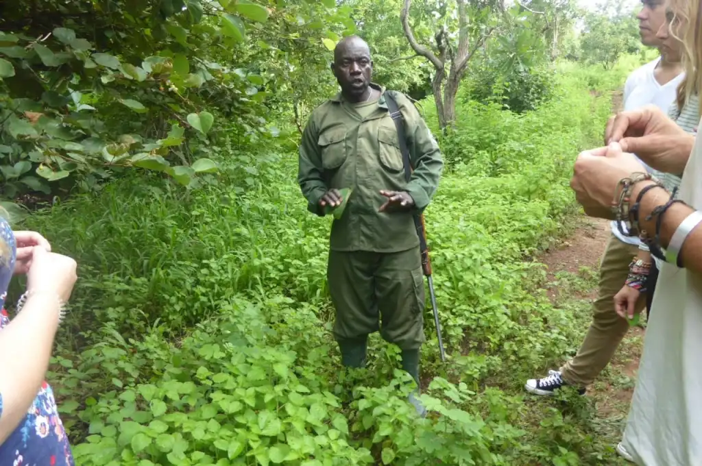 Day 1: Arrival and Mole National Park