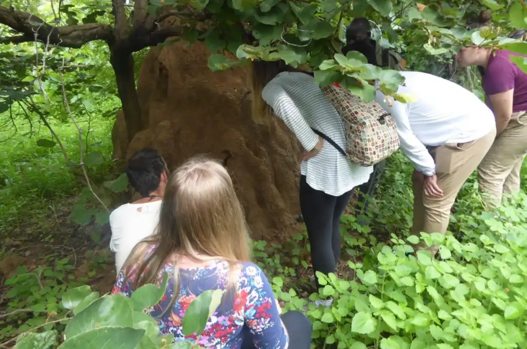 Day 2: Safari Expedition and Cultural Immersion