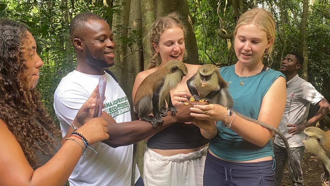 8-Day Immersive Ghana Eco-Tour & Cultural Adventure - Image 14