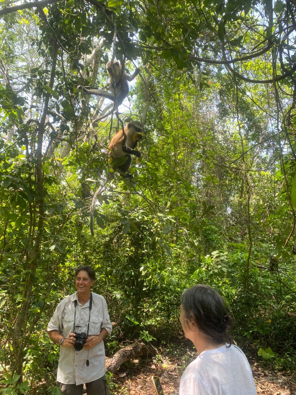 Hike Afadjato, Wli Falls & Authentic Ghana Village Tour