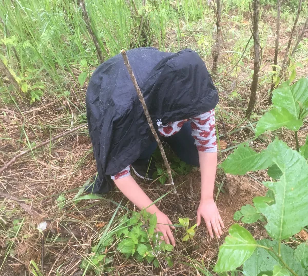 Giving Back: Traveler Volunteer Experiences in Volta-Ghana